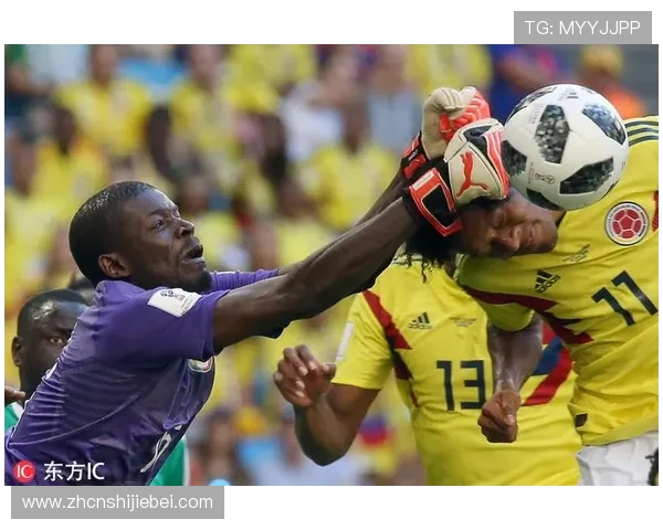 足球世界杯图片高清精彩瞬间集锦,带你回顾每一场激烈对决